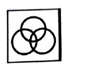 Option C